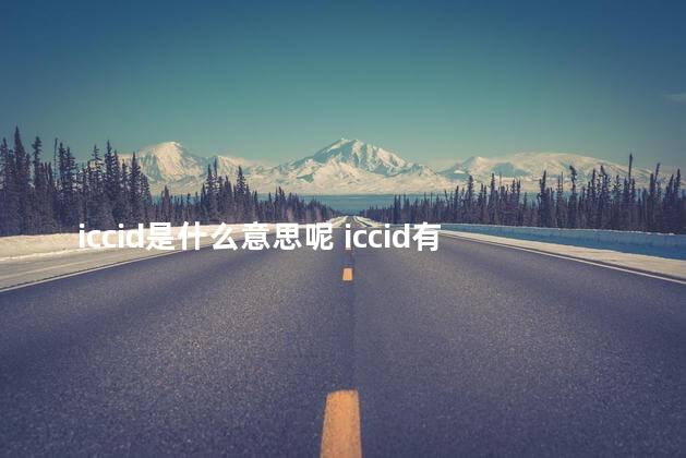 iccid是什么意思呢 iccid有什么用